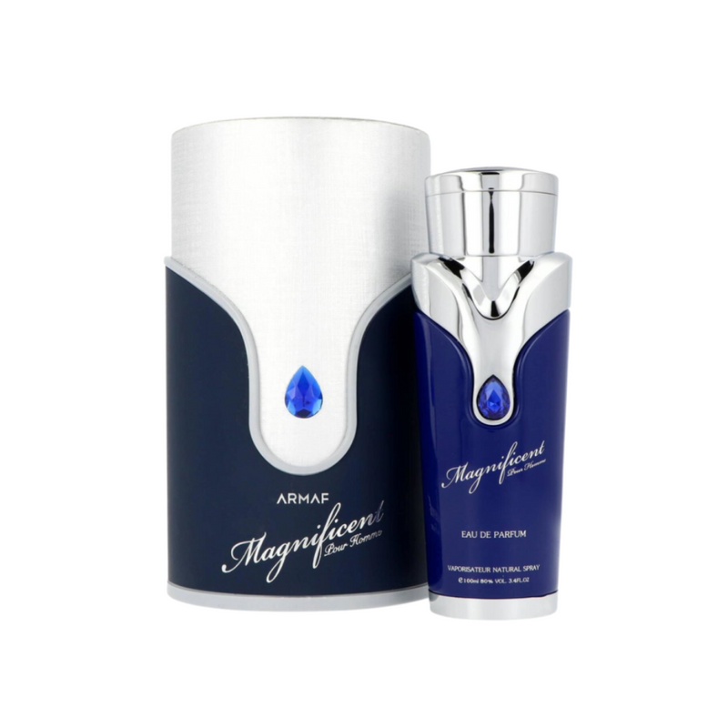 Armaf Men's Magnificent Blue EDP 100 ML